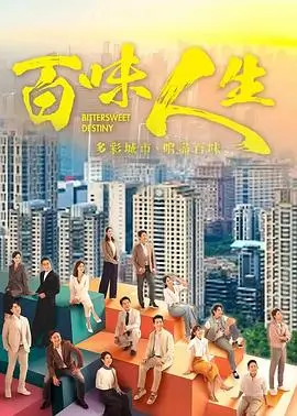 粤语剧九龙城寨灯火剧集封面
